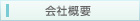 ЊTv